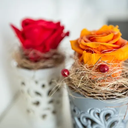 Hotel Franz Anton Sargans